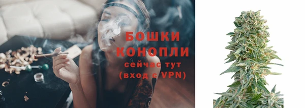 PSILOCYBIN Абаза