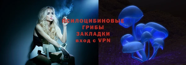 стаф Алзамай