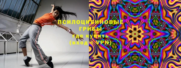 ешки Абинск