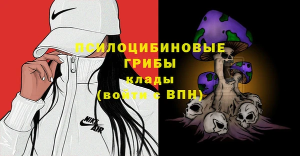 стаф Алзамай