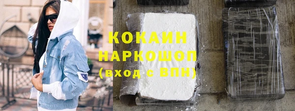 стаф Алзамай