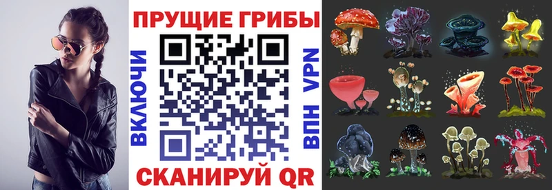 Галлюциногенные грибы MAGIC MUSHROOMS  как найти закладки  Ишимбай 